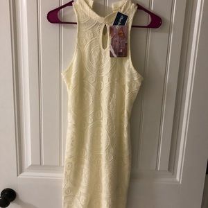NWT Lace cream Dress